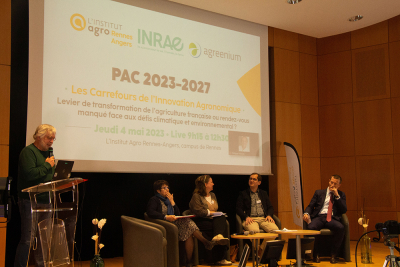 PAC et transitions : vers une transformation de l’agriculture française face aux défis et contraintes européennes 