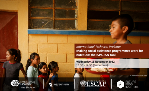 Making social assistance programmes work for nutrition: the ISPA-FSN tool