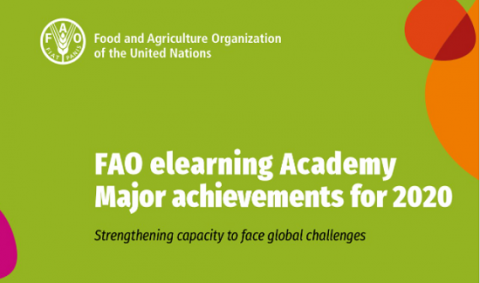 fao_elerning_academy_achievements2020