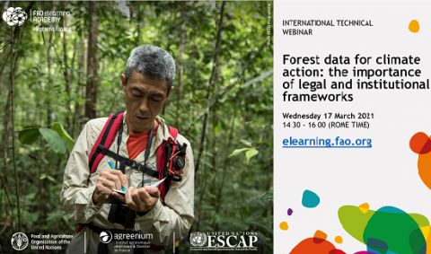 FAO-webinar-forest-data
