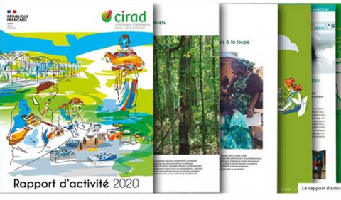 rapport_activites_2020_cirad